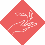 accompagnement pro et therapeute offre eveil